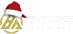 Boss Adventure